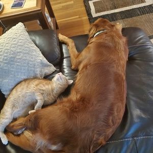 Meet your Posher, Taylor